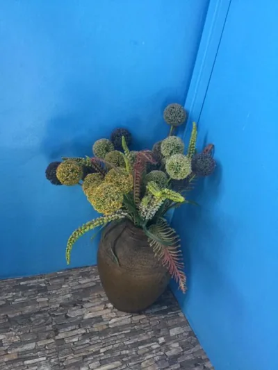 Mint Guesthouse – Photos 12